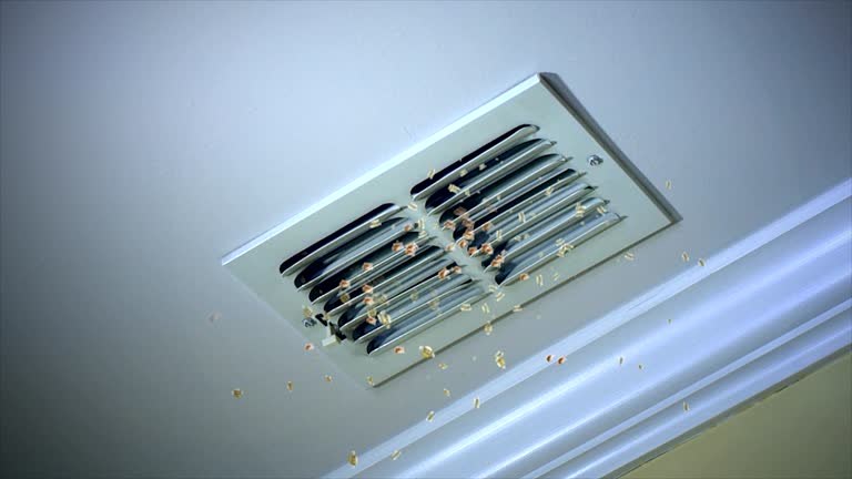 Best Emergency Air Duct Cleaning  in Norfolk, NE